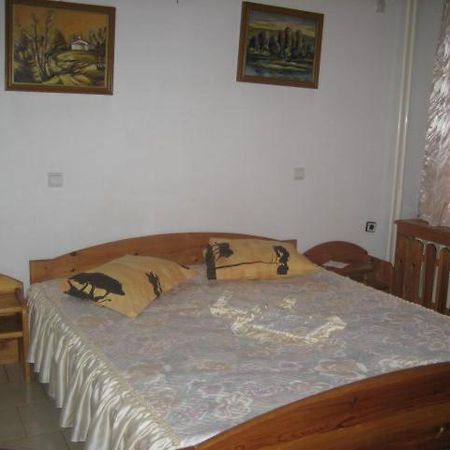 Hotel Mishel Kocherinovo Экстерьер фото